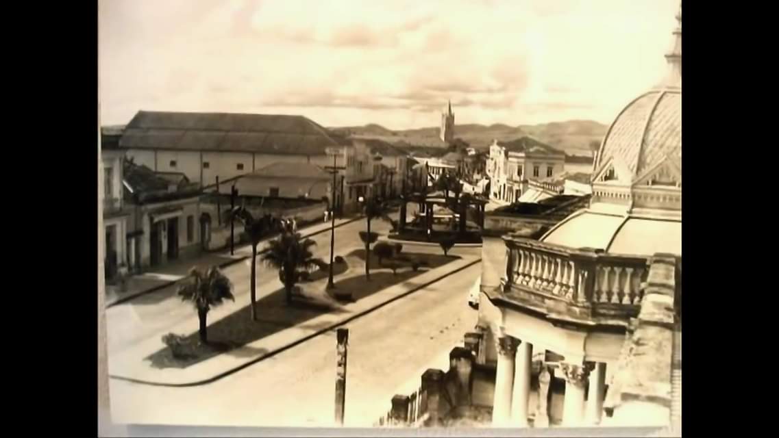 Avenida Dona Gertrudes — Palmeiras