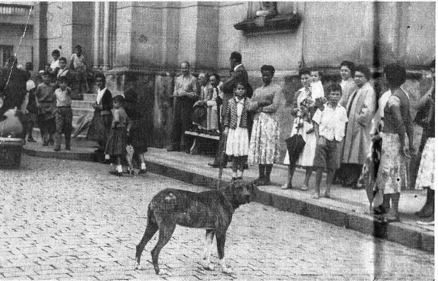 Mulheres de São João - imagem 1539